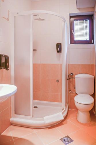 a bathroom with a shower with a toilet and a sink at Hotel Pahuljica in Vlasic