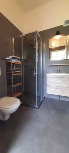 Vonios kambarys apgyvendinimo įstaigoje Huisje Beukers