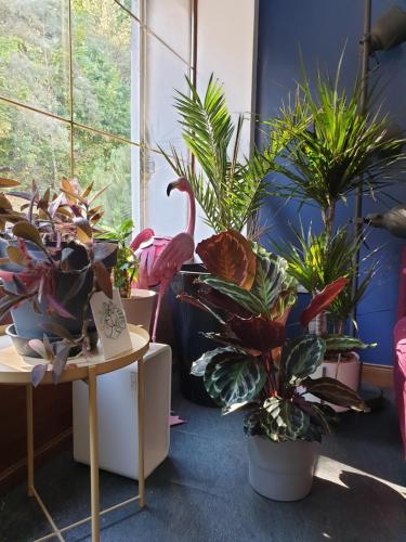 ブリッド・レ・バンにあるL'Atelier du Rêveのギャラリーの写真