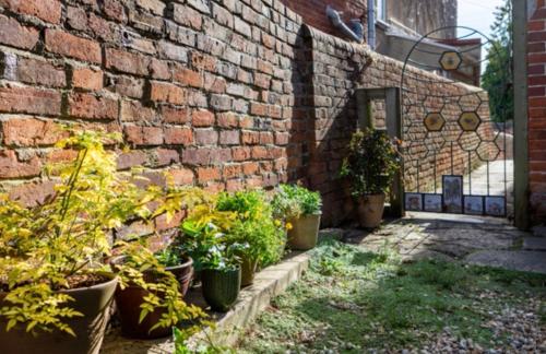 a brick wall with a bunch of potted plants on it at Bridport Garden Suite in Bridport