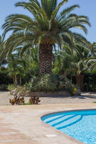 Piscina en o cerca de Albergo Residenziale Menhirs