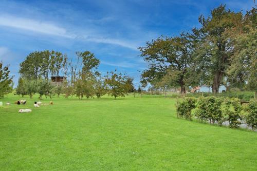 a group of animals laying in a grass field at La Cense de Baudecet - Le Corps de Logis in Gembloux