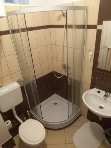 uma casa de banho com um chuveiro, um WC e um lavatório. em Zöld Apartman em Miskolc