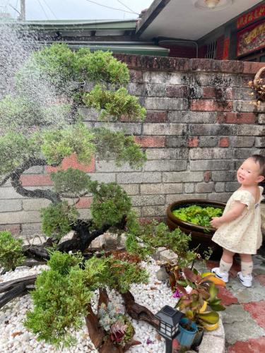 a little girl standing next to a bonsai tree at 北斗合法古厝民宿 in Beidou