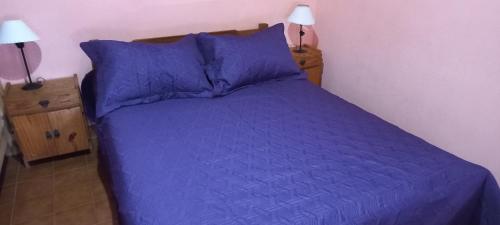 1 cama con edredón azul y 2 lámparas en hostel Isleño en Tigre