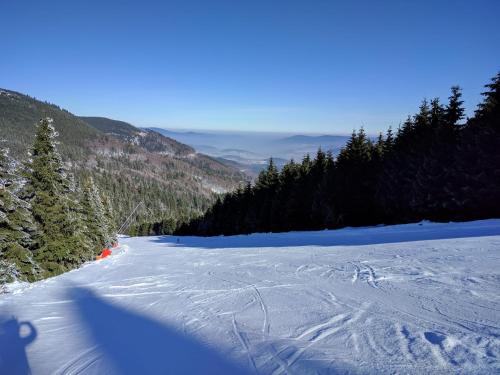 a person is skiing down a snow covered slope at Rakouská vila in Bělá pod Pradědem