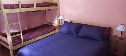 1 dormitorio con 2 literas y 1 cama azul en hostel Isleño en Tigre