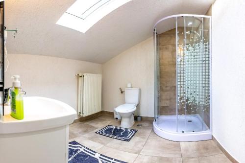 a bathroom with a shower and a toilet and a sink at Casa Andy in Buşteni