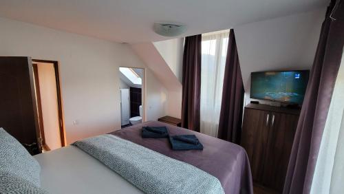 Postel nebo postele na pokoji v ubytování Vila Pestera