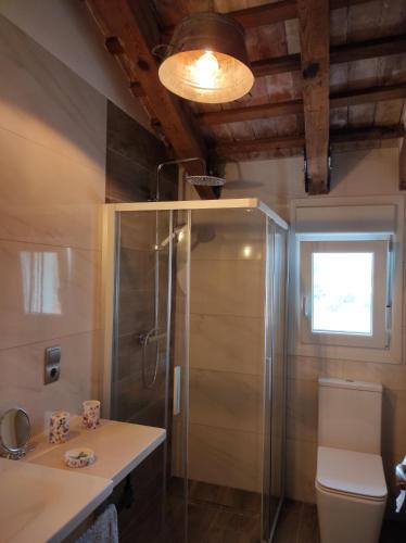 a bathroom with a shower and a toilet and a sink at Casa Rural Maño in Deltebre