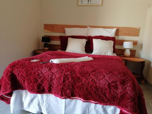 Divundu的住宿－Diyuyi Restaurant and Guest rooms Accommodation，一间卧室配有一张红色棉被的床
