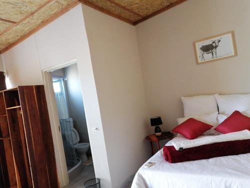 1 dormitorio con 1 cama con almohadas rojas en Diyuyi Restaurant and Guest rooms Accommodation, en Divundu