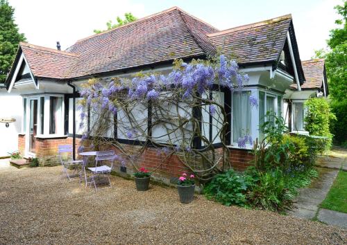 a house with purple flowers on the side of it at Pinewood Cottage Self Catering Apartments and studio apartments in Lyndhurst