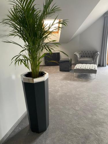 Χώρος καθιστικού στο Atmosfera Apartament 1 i 2