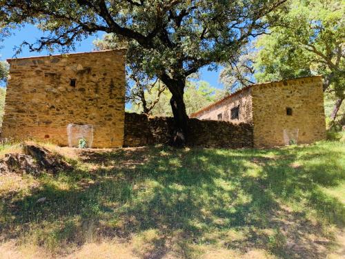 an old stone building with a tree in a field at Nature Space Jabugo in Jabugo