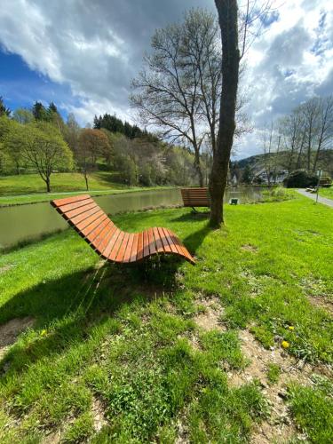 um guarda-chuva laranja deitado na relva ao lado de uma árvore em Auszeit am See em Winterberg