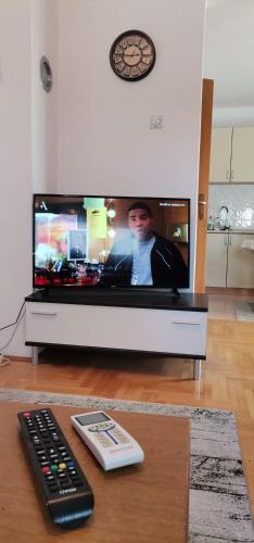 Televizorius ir (arba) pramogų centras apgyvendinimo įstaigoje Apartman Stepa