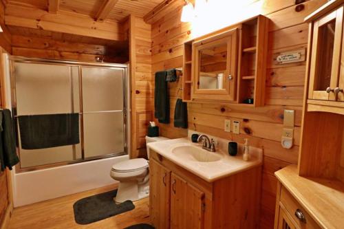 a bathroom with a toilet and a shower and a sink at The Crows Nest in Lake Lure