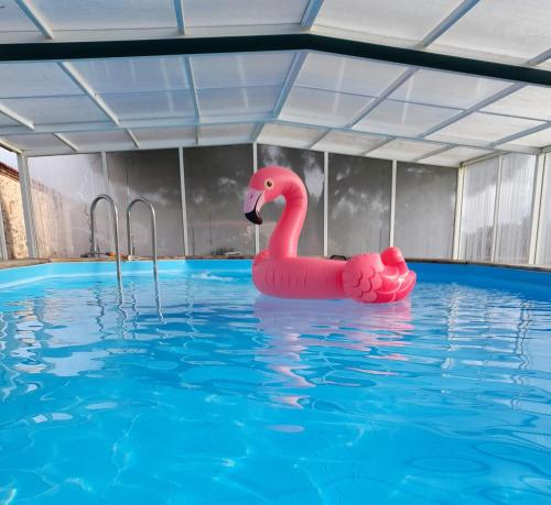 un flamenco rosa inflable en una piscina en Le gîte Le Marillet en Thorigny
