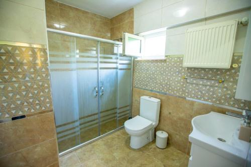 a bathroom with a toilet and a shower and a sink at The Doctor's House in Sapanca