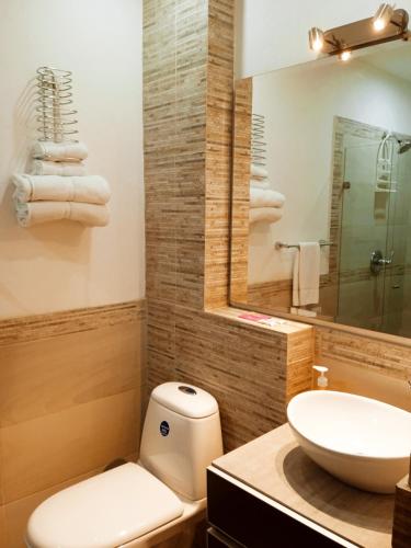 a bathroom with a toilet and a sink and a mirror at HOTEL LA POSADA DEL ZAGUÁN in El Retiro