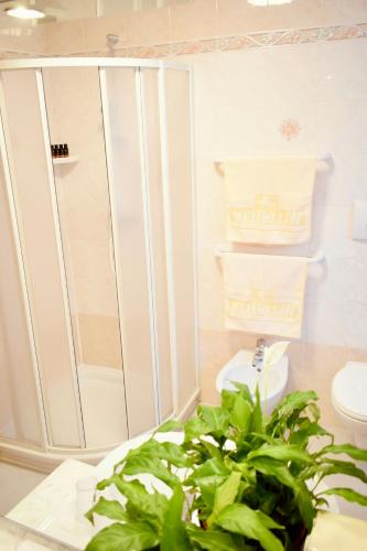 a bathroom with a shower and a potted plant at Hotel Waldheim in Sarnonico