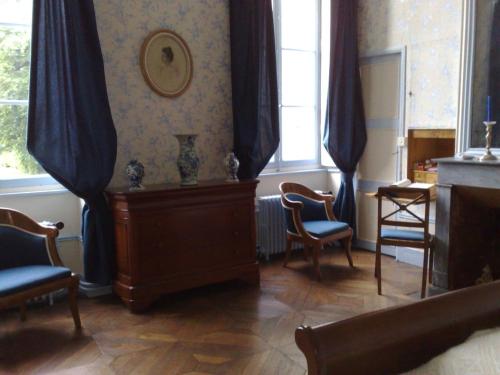 Pokój z niebieskimi zasłonami i krzesłami oraz kominkiem w obiekcie Le Château de BRESSEY & son Orangerie w mieście Bressey-sur-Tille
