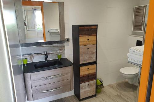 a bathroom with a sink and a toilet at Petit Refuge in Les Trois-Îlets