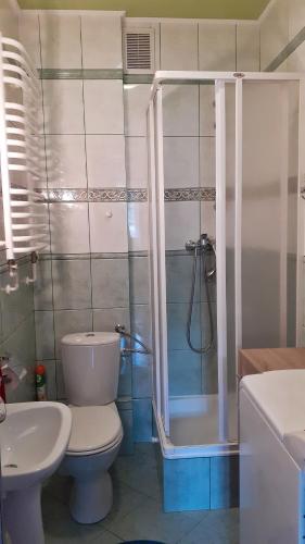 a bathroom with a shower and a toilet and a sink at Dom Pod Jaśminem in Ustrzyki Dolne