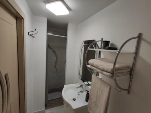 Un baño con ducha, lavabo e inodoro. en studio, en Sibiu