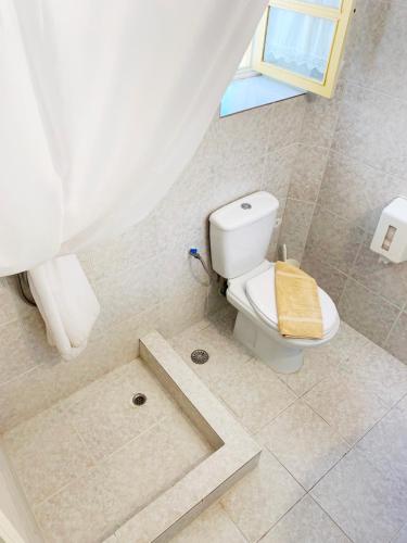 a bathroom with a white toilet and a shower at Anezina Village in Drios