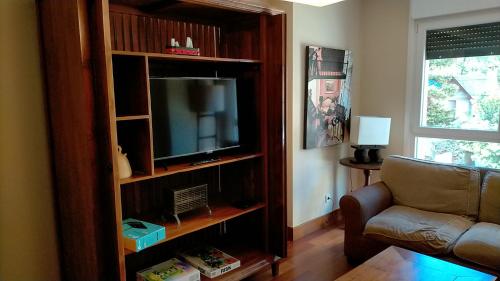 una sala de estar con TV en un estante de libros en Apartamento Lola2 Boltaña, en Boltaña