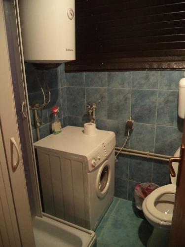 a bathroom with a washing machine and a toilet at Apartments Zekovic in Žabljak
