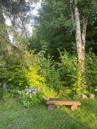 Zahrada ubytování Holiday home Usadba Novoselitsa