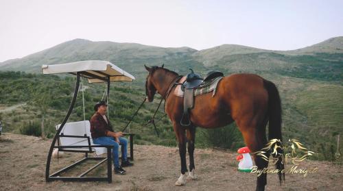 a man sitting in a chair next to a horse at Bujtina e Muriqit in Shkodër