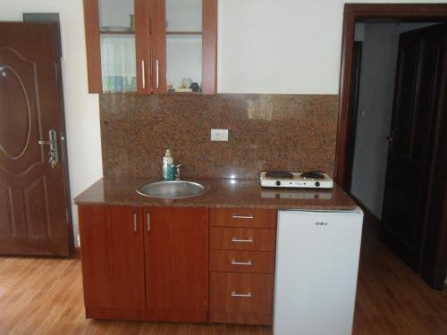 Kuchyň nebo kuchyňský kout v ubytování Apartments Pekic
