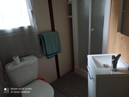 a bathroom with a white toilet and a sink at Le pré aux sages in Dadonville