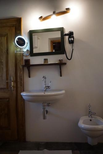 a bathroom with a sink and a mirror on the wall at Count Kálnoky's Transylvanian Guesthouses in Micloşoara