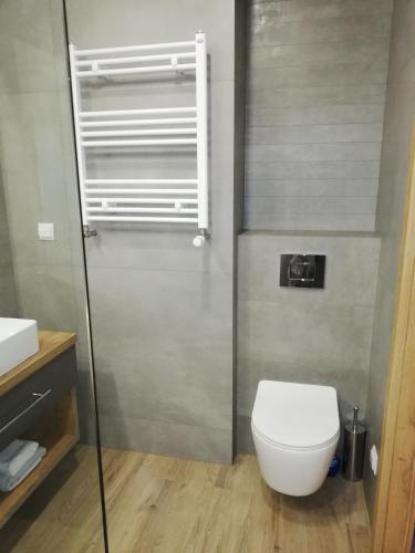 a bathroom with a toilet and a glass shower at Czerwona Cegła Apartament in Zielona Góra