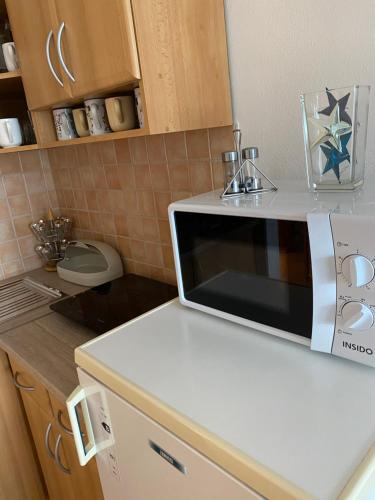 a microwave on top of a counter in a kitchen at Apartment Dony in Donovaly