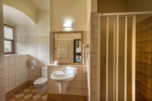 W łazience znajduje się umywalka, toaleta i lustro. w obiekcie Zamek Kliczków w mieście Kliczków