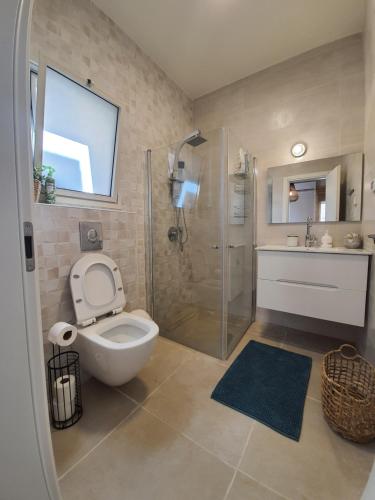 a bathroom with a toilet and a shower and a sink at חדר במדבר in Beʼer Ora