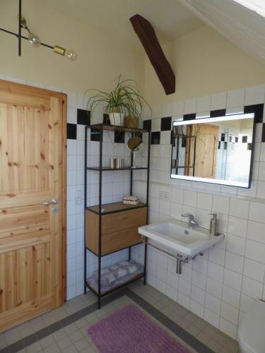 a bathroom with a sink and a mirror at Ferienwohnung Högel Großjena in Naumburg