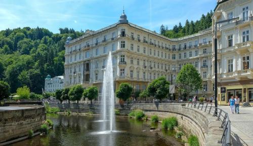 une fontaine dans un étang en face d'un bâtiment dans l'établissement Apartmán Amici, à Karlovy Vary