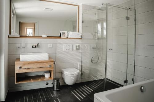y baño con ducha, aseo y lavamanos. en Maiers Johanniterbad Ringhotel Rottweil, en Rottweil