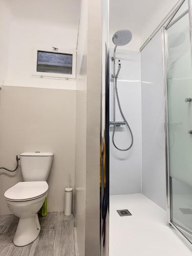 une salle de bain avec toilettes et douche dans l'établissement Roussillon appart avec terrasse, à Perpignan