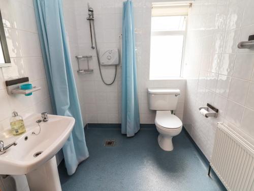 a bathroom with a toilet and a sink and a shower at Moybella Lodge in Ballybunion