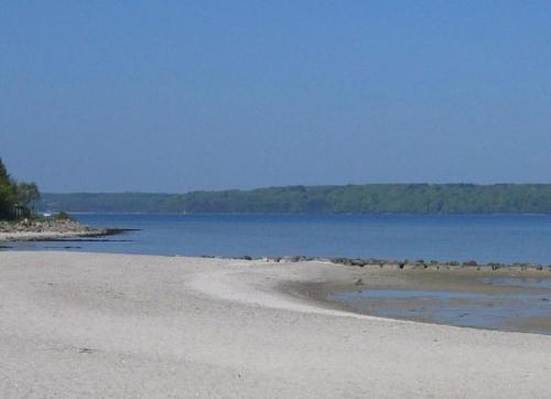 a beach with a bunch of birds on the water at Hotel am Wasserturm in Flensburg