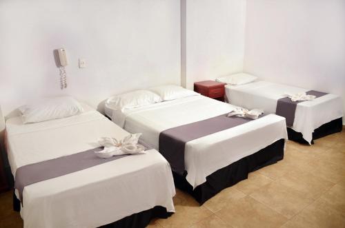 Un pat sau paturi într-o cameră la Hotel Plaza Ventura