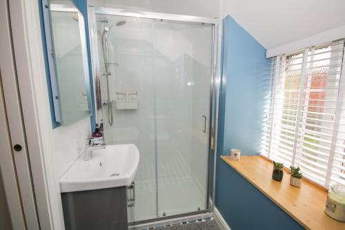 Un baño con ducha de cristal y lavabo. en Cuddfan, en Llangollen